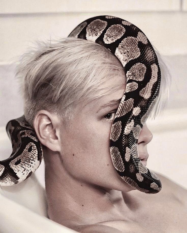 I desperately need this 🐍