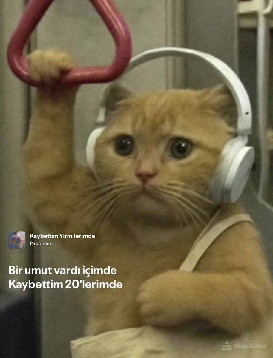 Headliner (@headlinertr) on Twitter photo 