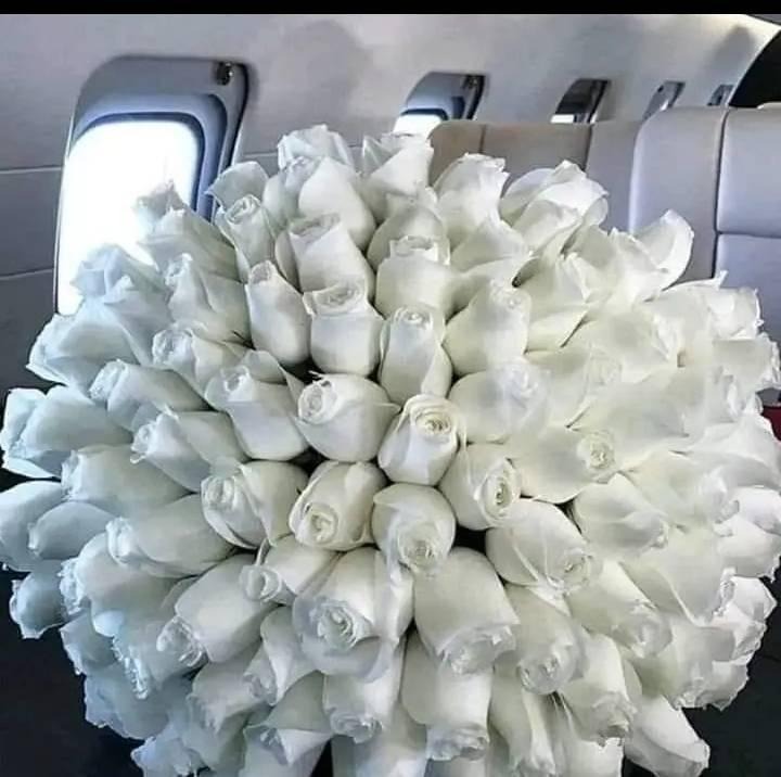 chibui68689's tweet image. Evening settles softly, bringing calm moments to reflect, unwind, and appreciate today’s quiet victories. Wishing everyone peace and gentle rest.