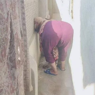 Pari Zaad tweet media