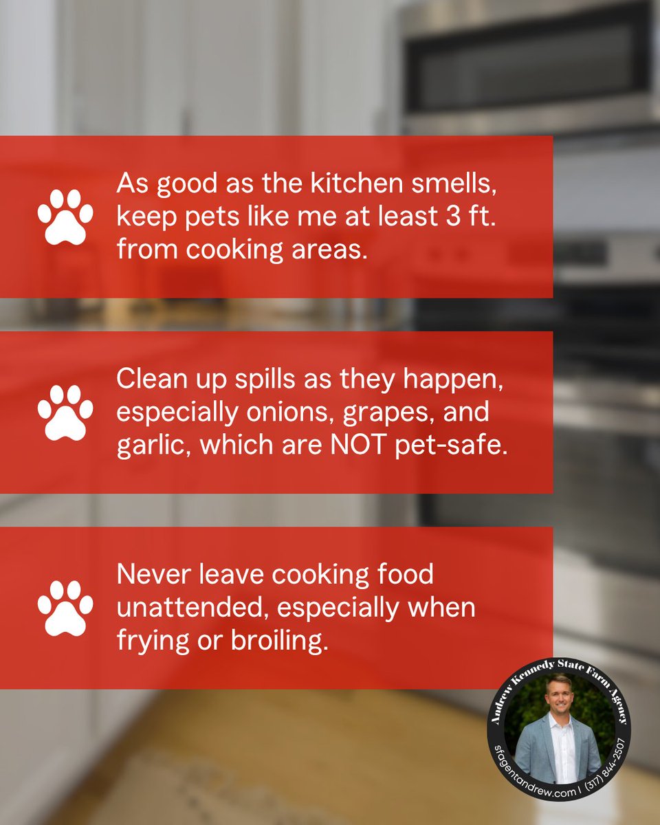 Already starting to prep for your family's big Turkey Day meal? Master Chef Pickles has a few safety essentials for you to keep in mind! 🐾
#Thanksgiving #CookingSafety #SFAgentAndrew