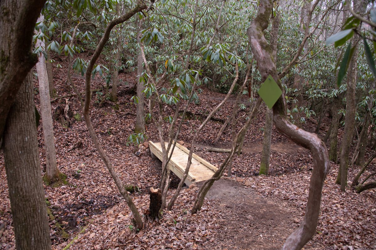 projectchimps's tweet image. Stuck in the house with your relatives for Thanksgiving week? Volunteer Marty has completed a new section of the Nature Trail so you can escape outdoors and hike at Project Chimps! Check out our gift shop in the historic cabin for Holiday shopping and to gift a chimp sponsorship!