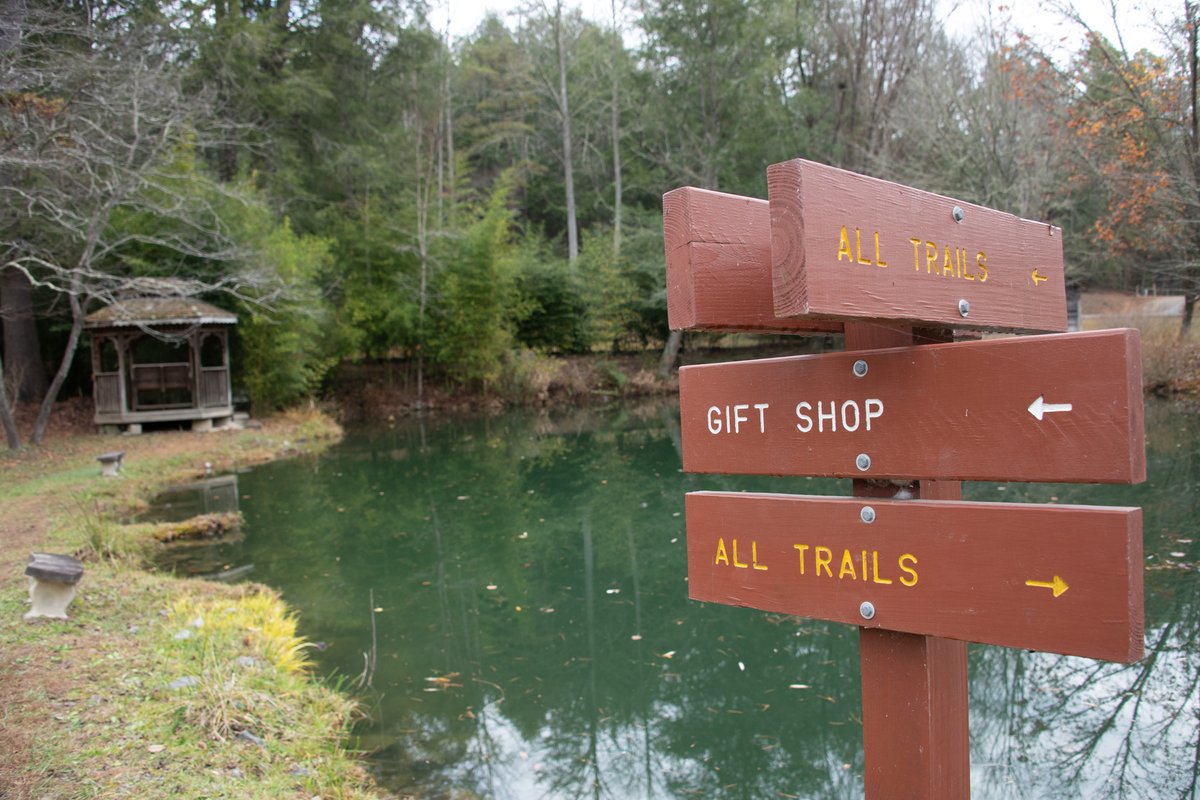 projectchimps's tweet image. Stuck in the house with your relatives for Thanksgiving week? Volunteer Marty has completed a new section of the Nature Trail so you can escape outdoors and hike at Project Chimps! Check out our gift shop in the historic cabin for Holiday shopping and to gift a chimp sponsorship!