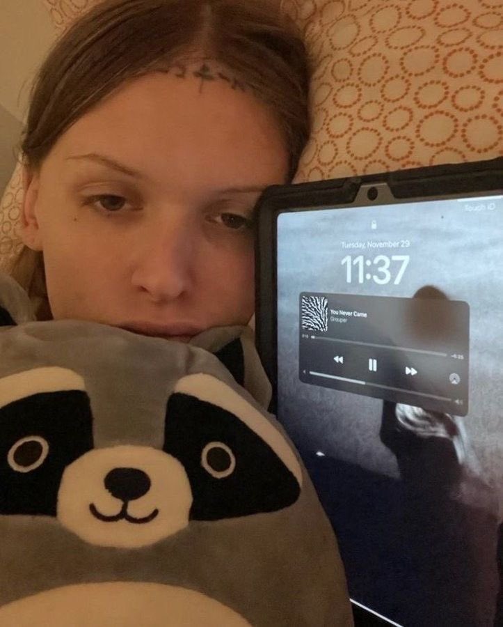 semperrvirens's tweet image. 