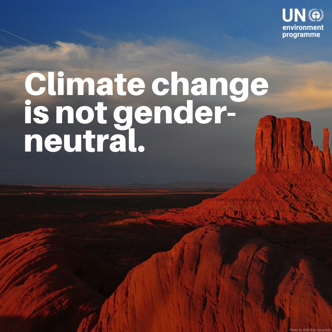 UNEP's tweet image. Climate change is deepening inequalities — and increasing the risk of gender-based violence for women and girls.

On the International Day for the Elimination of Violence against Women, let’s act #ForAllWomenAndGirls and build a safer, more climate-resilient future. #16Days