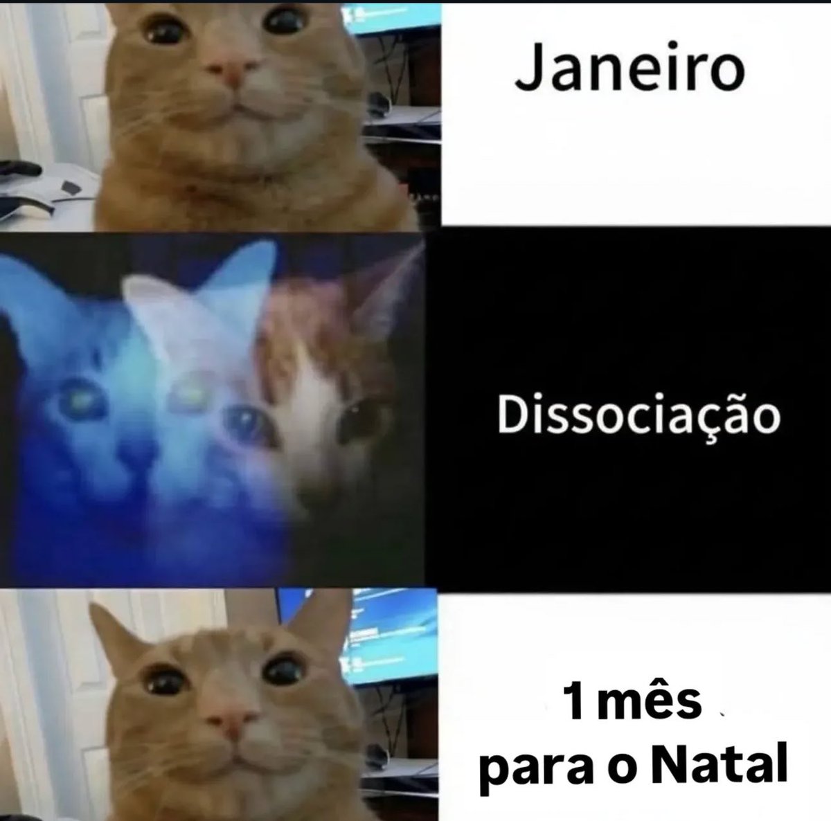 shitpostverdade's tweet photo. https://t.co/HykMxnH3ZC