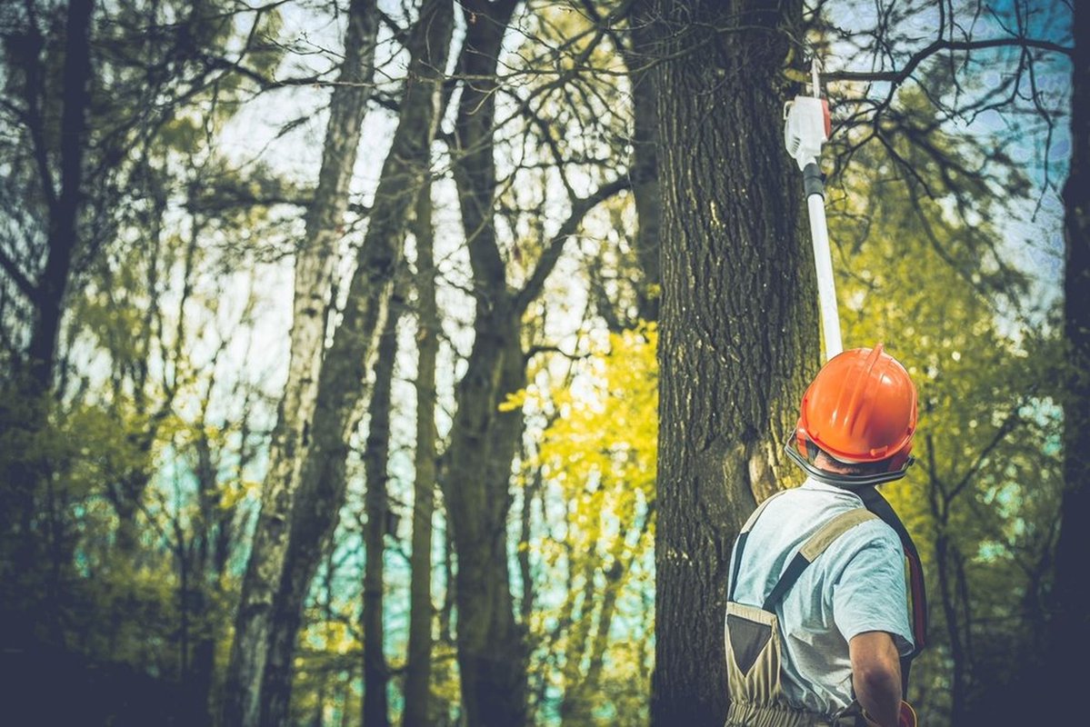 DavisSonsTree's tweet image. Our tree services cover everything from trimming and removal to full yard cleanups. We take pride in keeping your trees healthy and your property beautiful all year long. Reach out today!
#TreeServices
maplevalleytreeservices.com