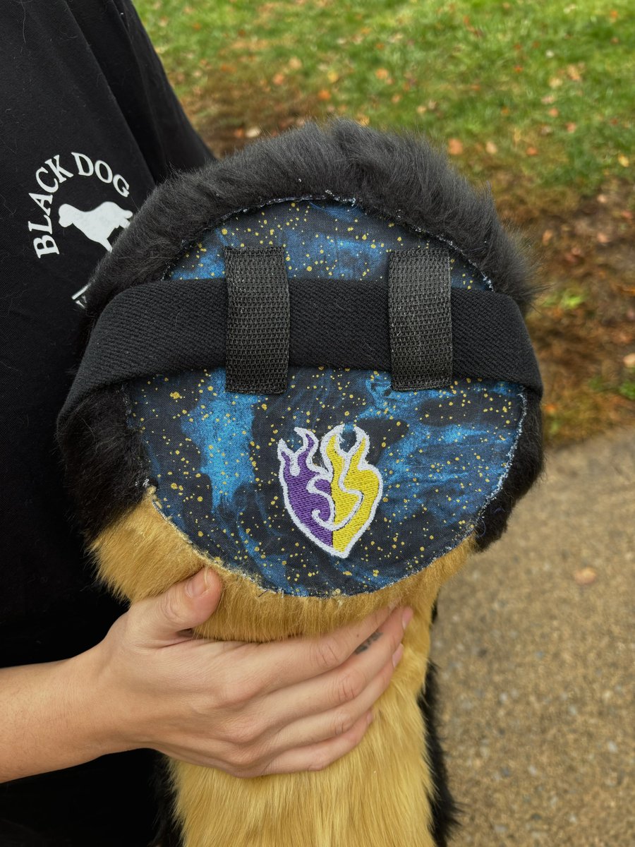 chronicallyk9 tweet media