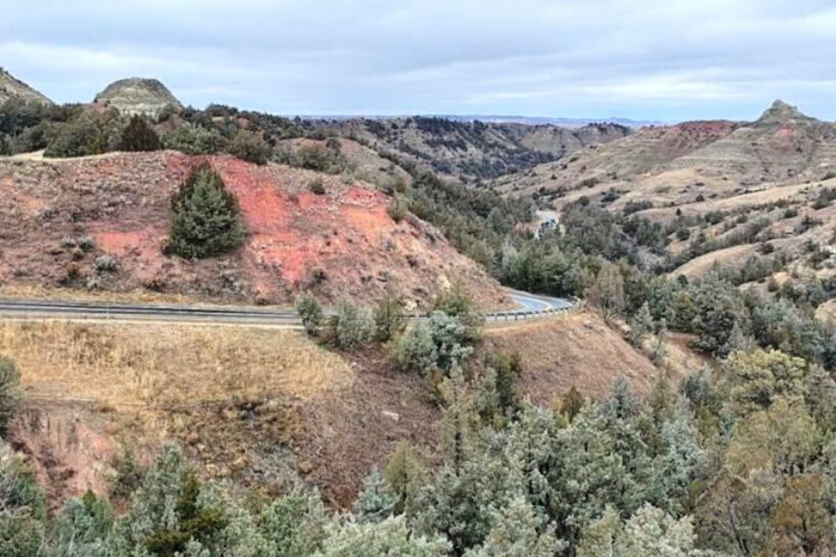 DanBehringer221's tweet image. Where the buffalo roam: Rebuilt road opens up sweeping views at Theodore Roosevelt National Park in North Dakota. apnews.com/article/theodo… @AP #parks #NorthDakota #Conservation #badlands #ScenicViews