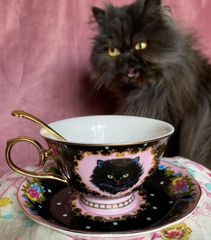 Black. (@blackdreamvibes) on Twitter photo 