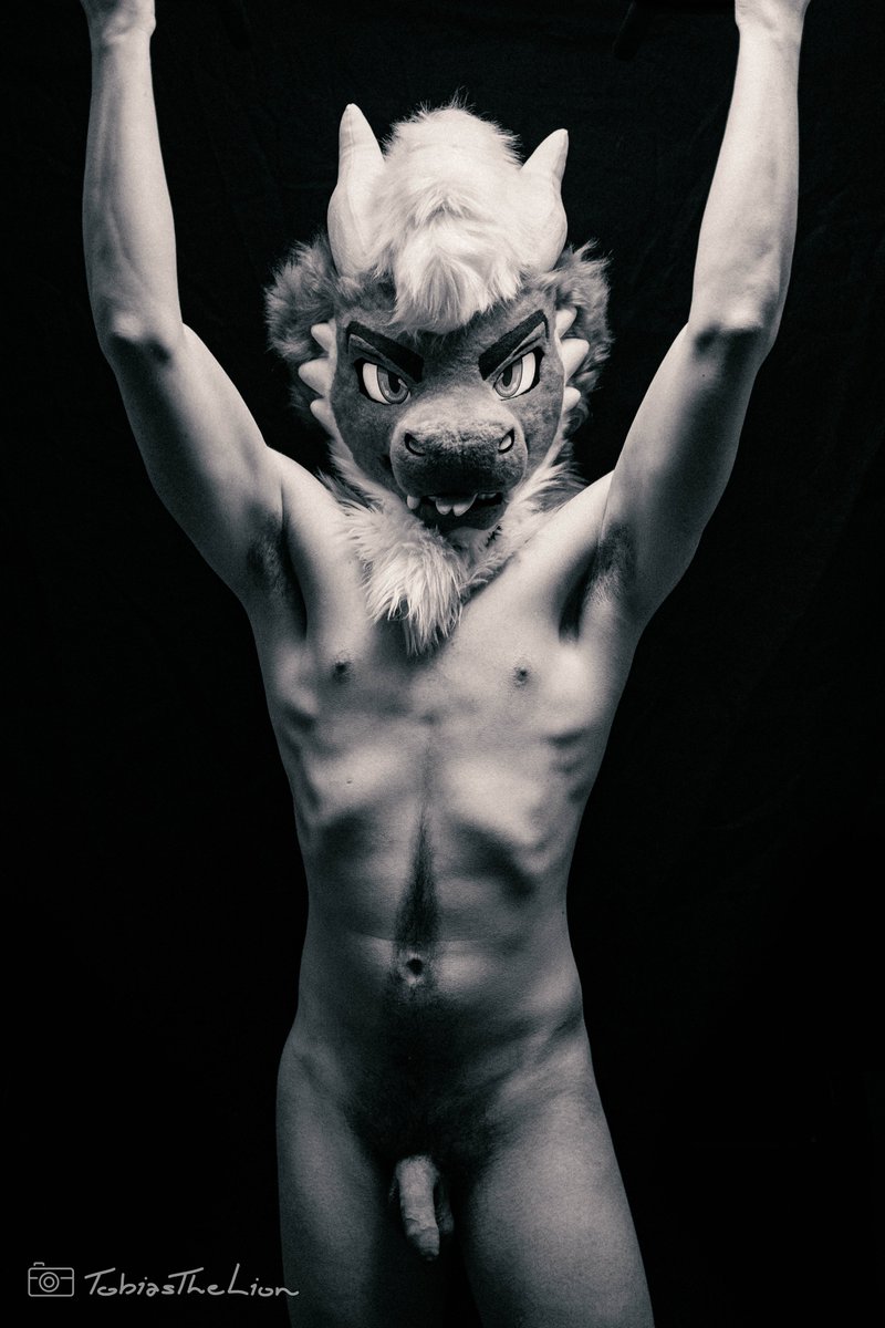 TobiasNudeLion tweet media