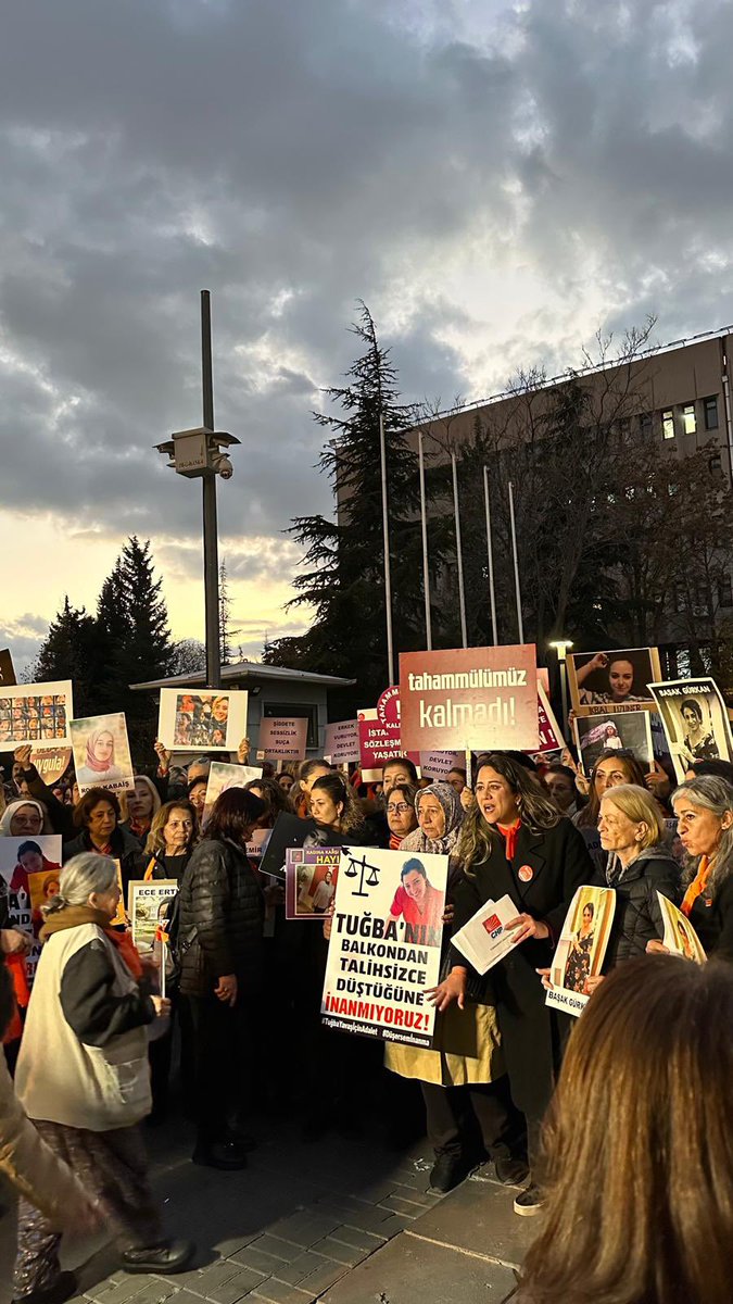 ChpAltındagKadın tweet media