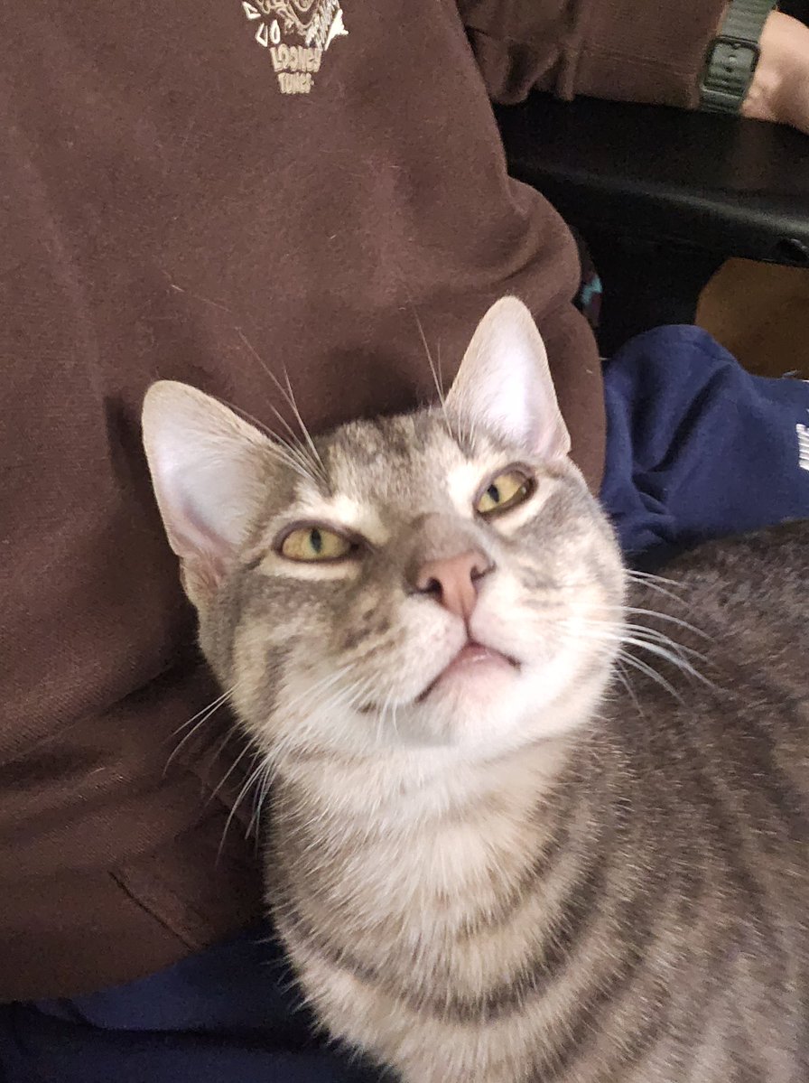 NaetorU_D's tweet image. J&apos;étais réglé sur l&apos;heure de Lisbonne hihi ANALYSE DE CE WEEK END FT / PICHU (il est pas content de ce que j&apos;ai fais venez voir pourquoi)