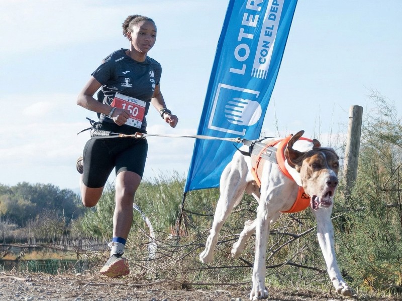 Deportes de invierno
Copa de España de Mushing 2025-26. Sprint Tierra. Navarra
Espectacular Copa de España de Mushing Loterías en Buñuel con 237 participantes <a href="/spainsnow/">SPAINSNOW</a> <a href="/rfedinv/">RFEDI • Spainsnow</a> 
wp.me/p29qcc-PRA
