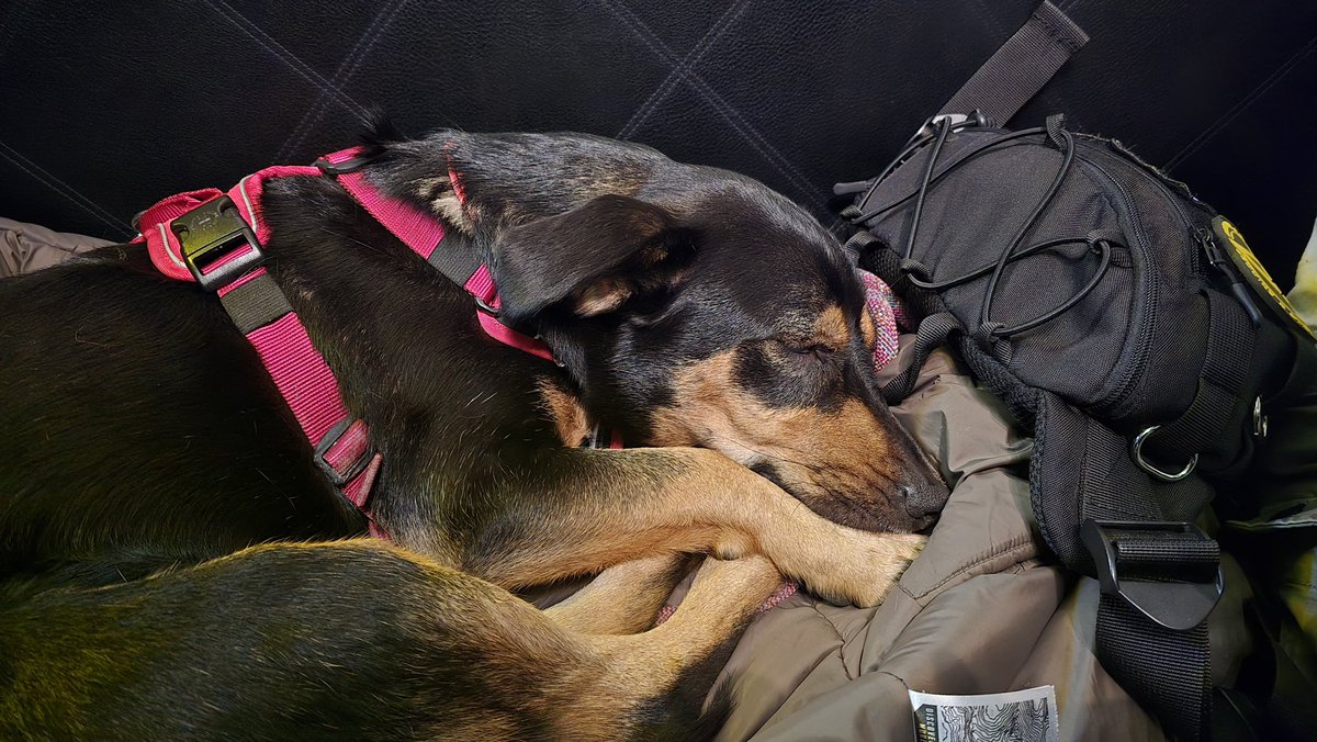 nafoviking's tweet image. Guess who i just met?