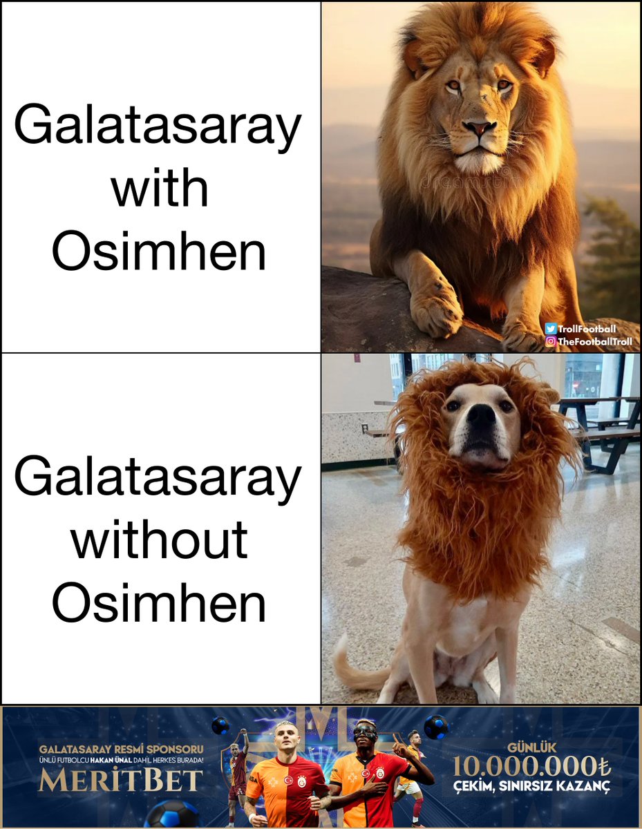 Galatasaray are nothing without Osimhen

t2m.io/trollmerit

#GSvUSG
Galatasaray - Union SG