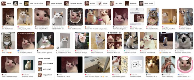 Meow Coin tweet media