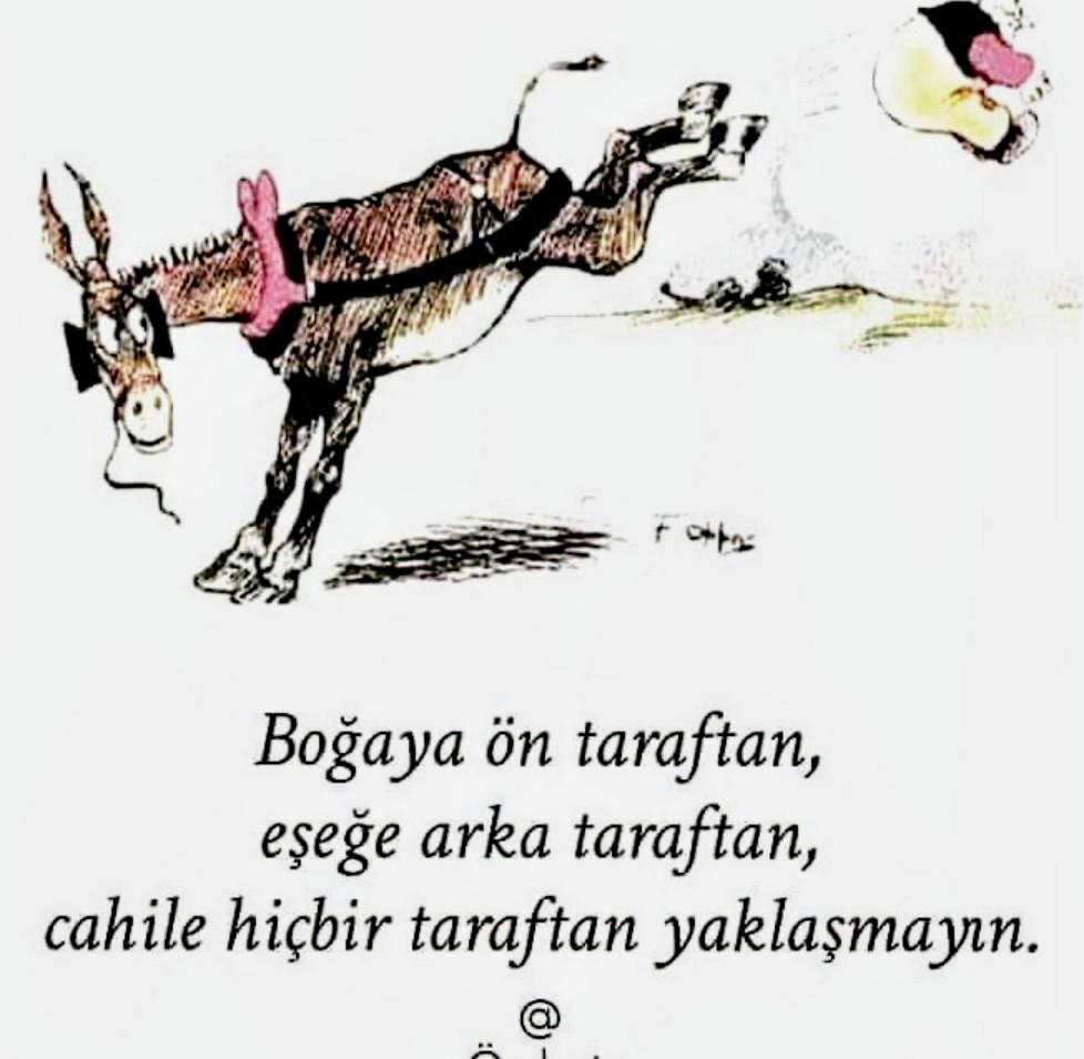 Kemal Abdullahoğlu (@kemalabdlglu) on Twitter photo 