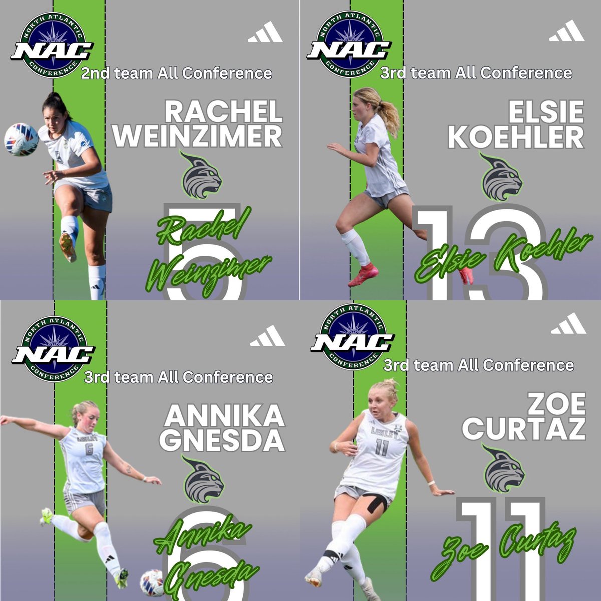 Congratulations to all of our All Conference selections! #Scolynx #lesleysoccer #ncaasoccer