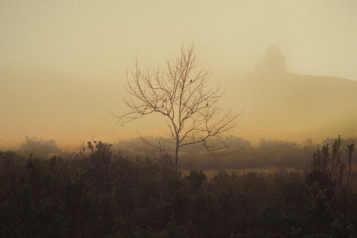 Moments that brought me peace