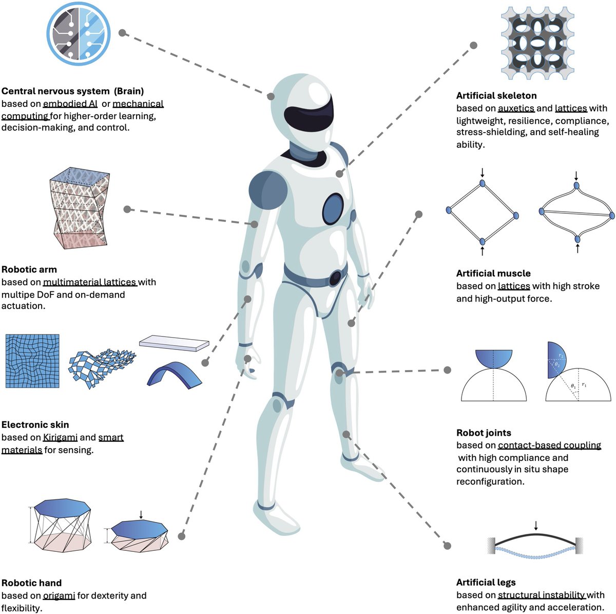 SciRobotics's tweet image. #Metamaterials, engineered materials that can increase flexibility or respond to stimuli, could enable the development of multifunctional and adaptive robots with #EmbodiedIntelligence. 

Learn more in Science #Robotics: scim.ag/3LOpuB0