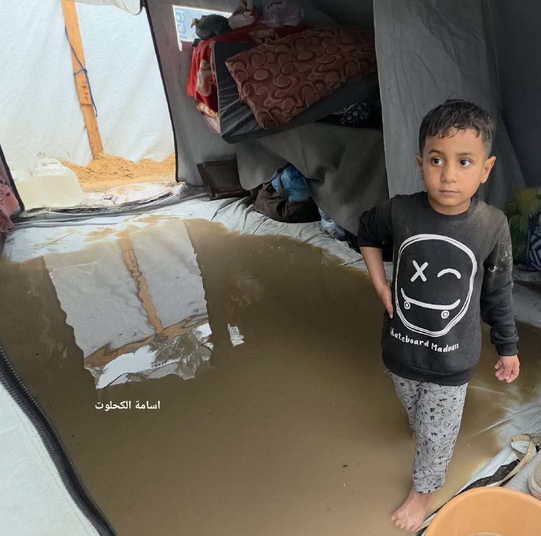 sajafromGaza's tweet image. What should I and my children do now? We are shivering from the bitter cold, and the wind and rain are relentlessly attacking us. 
I haven&apos;t received any donations for more than two days, and I&apos;m pleading with all my strength and patience to raise just $500 so I can protect my…