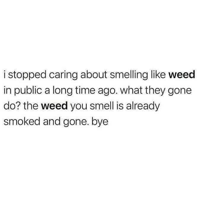 Stoner Jesus™ tweet media