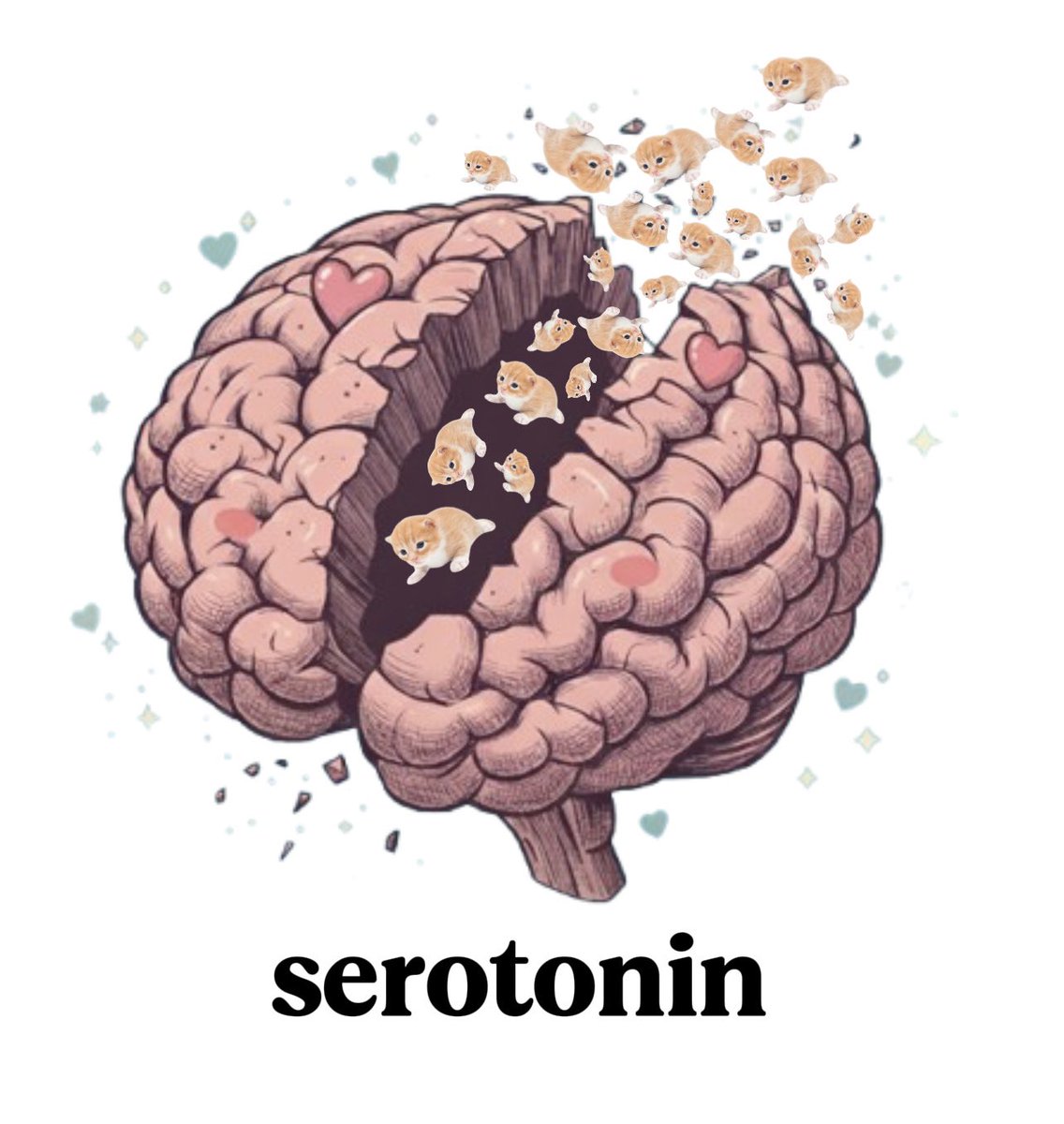 gary (@higary__) on Twitter photo 