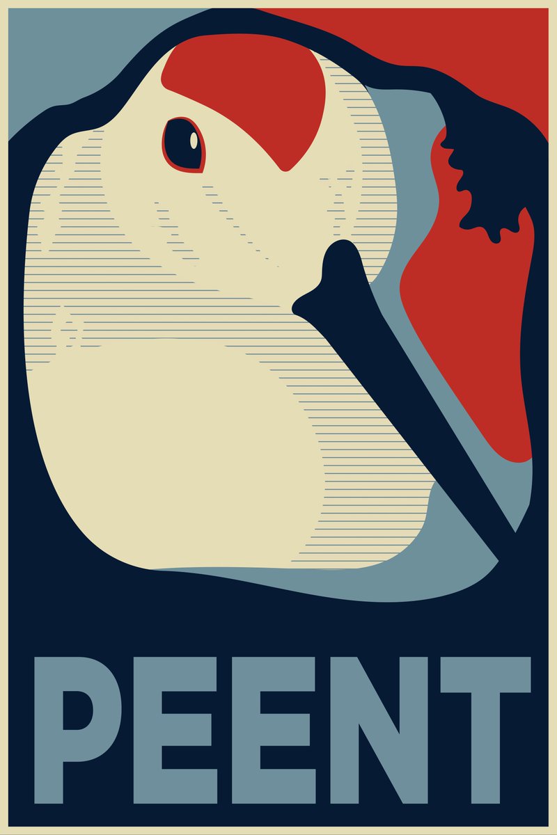 PEENT 🗣️ ‼️