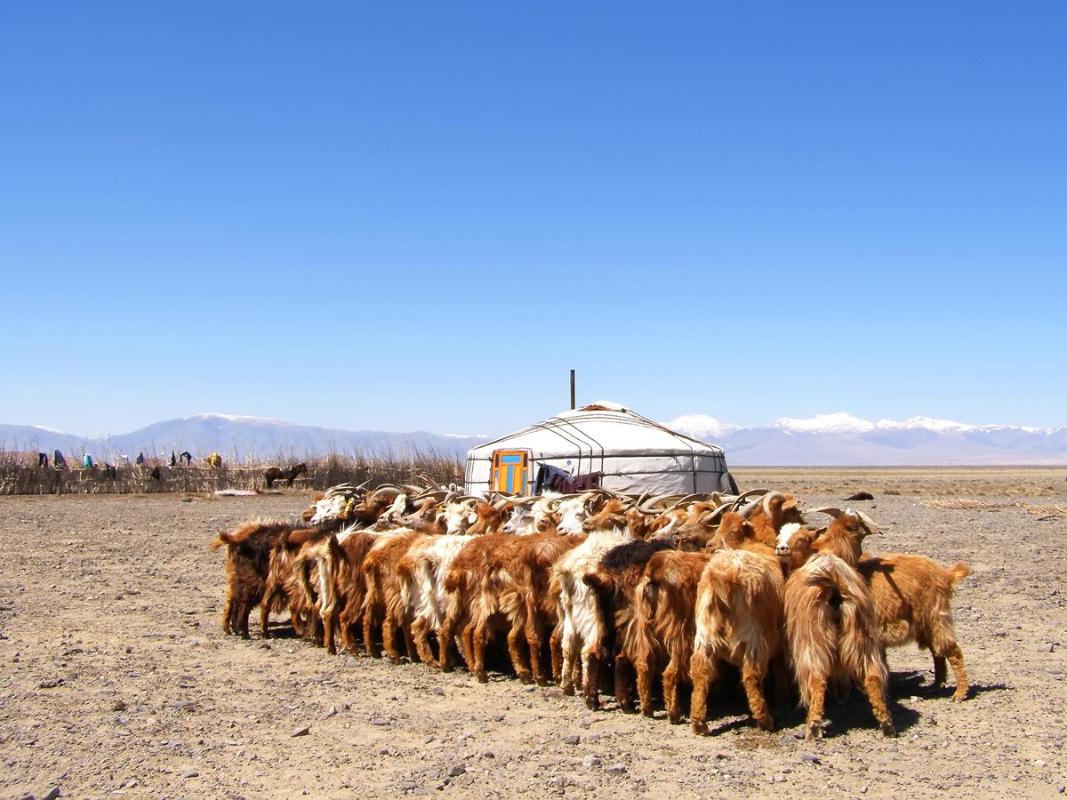 behavioralcents's tweet image. 2 Gratitude Hacks to Reduce Overspending - in this season of gratitude, use this feeling to help protect your wallet and find more joy in giving. Happy Thanksgiving! bit.ly/3Xeqm4u