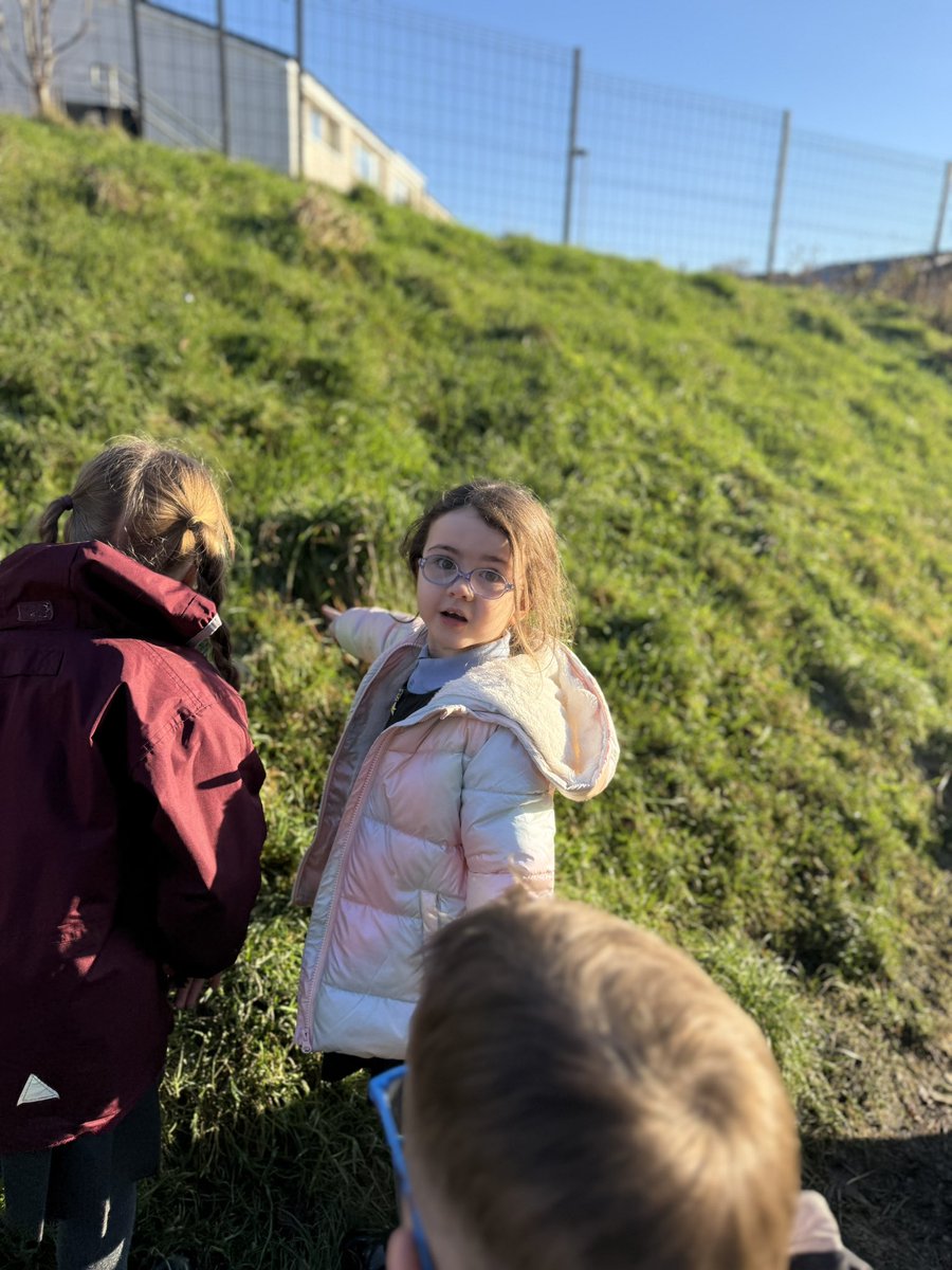 MrsNelson08's tweet image. We read one of our BookBug bag stories today, Holey Moley. Then we headed outside for a mole hunt and chatted all about mole habitats and their underground adventures. 🕳️🐾 @StRoseOfLimaPS @WeAreLit4All @Booktrust #bookbug @SOuLupdate #outdoorlearning