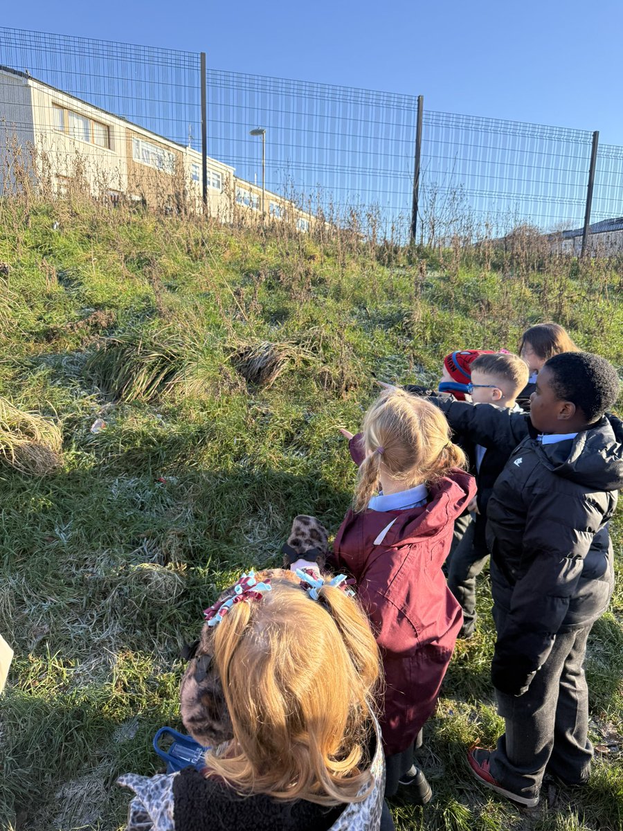 MrsNelson08's tweet image. We read one of our BookBug bag stories today, Holey Moley. Then we headed outside for a mole hunt and chatted all about mole habitats and their underground adventures. 🕳️🐾 @StRoseOfLimaPS @WeAreLit4All @Booktrust #bookbug @SOuLupdate #outdoorlearning