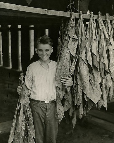 AriSchulman's tweet image. In 1924, Calvin Coolidge&apos;s 16-year-old son played tennis on the White House grounds without wearing socks. He got a blister, and a week later was dead from infection.

This is nearly unthinkable today — a result of astounding progress humankind has made over the past century.