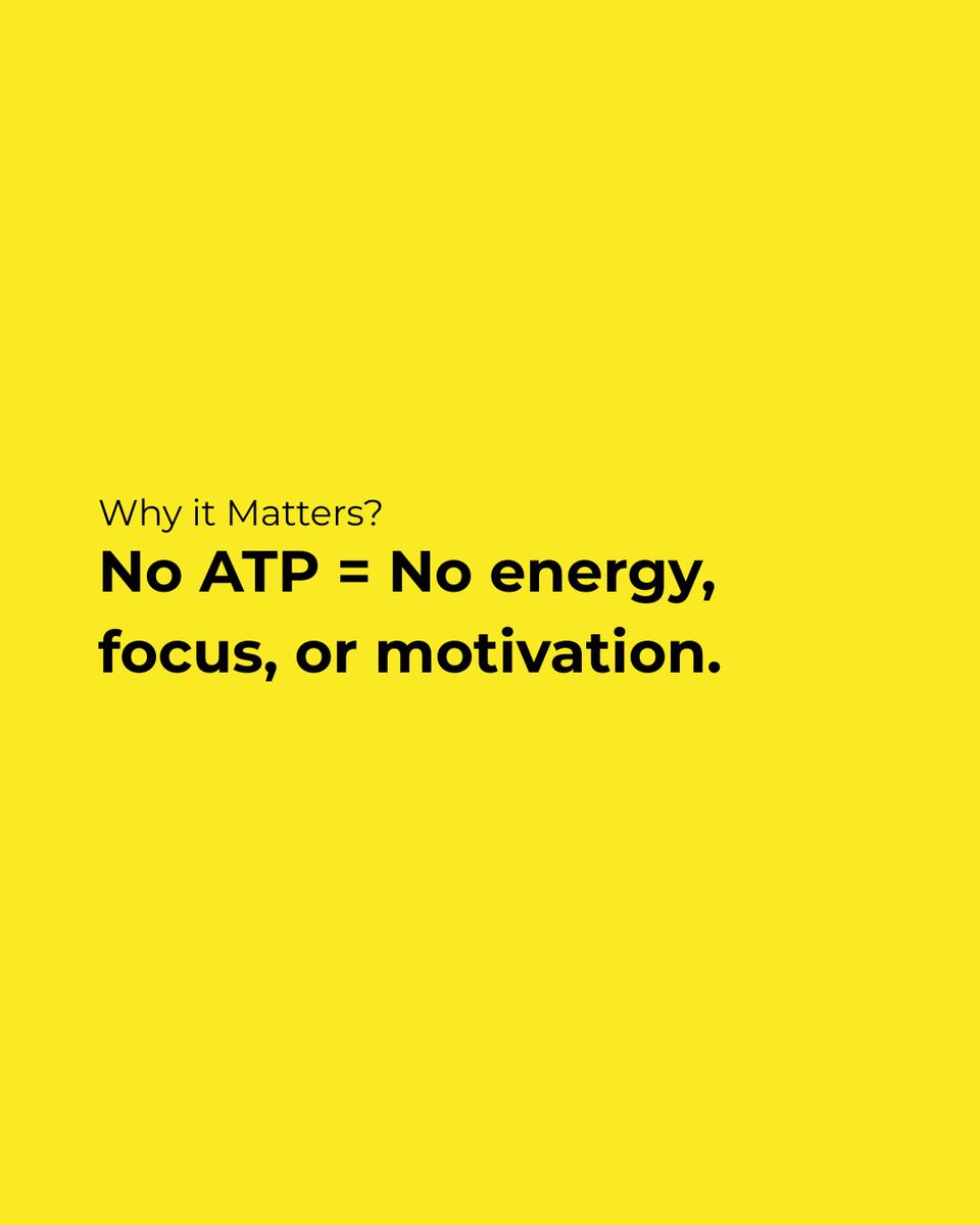 nanogenesislabs's tweet image. Charge your internal battery. 🔋
Your brain runs on energy, and Mind Expander by @nanogenesislabs gives you the upgrade.
ATP + Glutathione = clean clarity, sustained focus, no crash.
If you’ve tried coffee, energy drinks, or pills and still feel foggy… this is your new lane.

🔗…