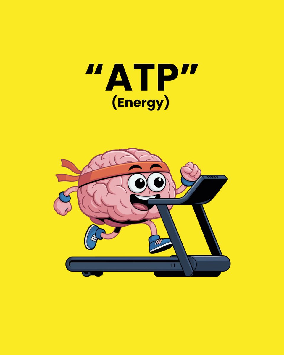nanogenesislabs's tweet image. Charge your internal battery. 🔋
Your brain runs on energy, and Mind Expander by @nanogenesislabs gives you the upgrade.
ATP + Glutathione = clean clarity, sustained focus, no crash.
If you’ve tried coffee, energy drinks, or pills and still feel foggy… this is your new lane.

🔗…