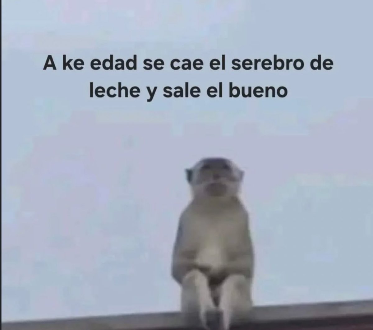 piña sin pizza (@skereunpesado) on Twitter photo 