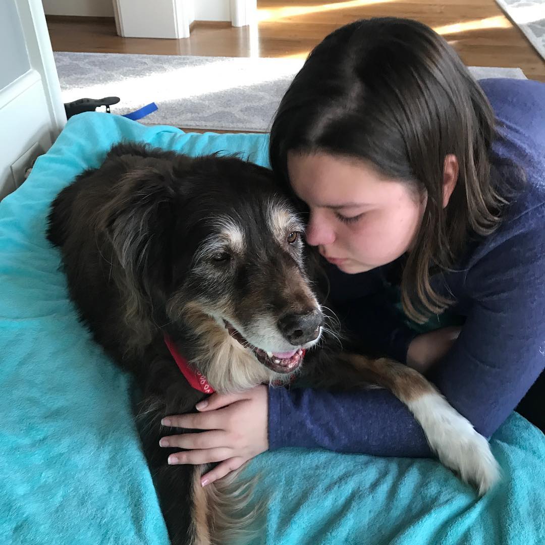 7 years ago today we had to let go of Teddy.

I still miss him. Niece is saying goodbye.

Hug your dogs for us please.