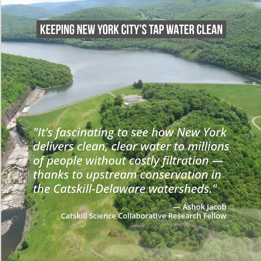 caryinstitute's tweet photo. #CatskillScienceCollaborative Fellow Ashok Jacob shares how his research may help keep NYC’s drinking water clean. RFP open for 2026 CSC Fellows; profs interested in mentoring a student for paid summer research (up to $18K) in the #Catskills apply by Jan 9
https://t.co/mEWKEpC6xu https://t.co/VeSHSU9GuU