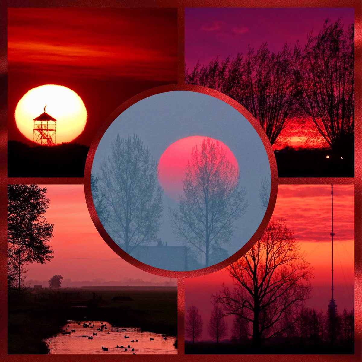 Ook de lucht kan soms in die mooie kleur #rood kleuren en dat is dan dubbel genieten net zoals vandaag van zoveel rode collages en foto’s die jullie deelden, wens jullie nog een fijne avond toe en morgen weer een nieuw thema bij #november_kiek 👋