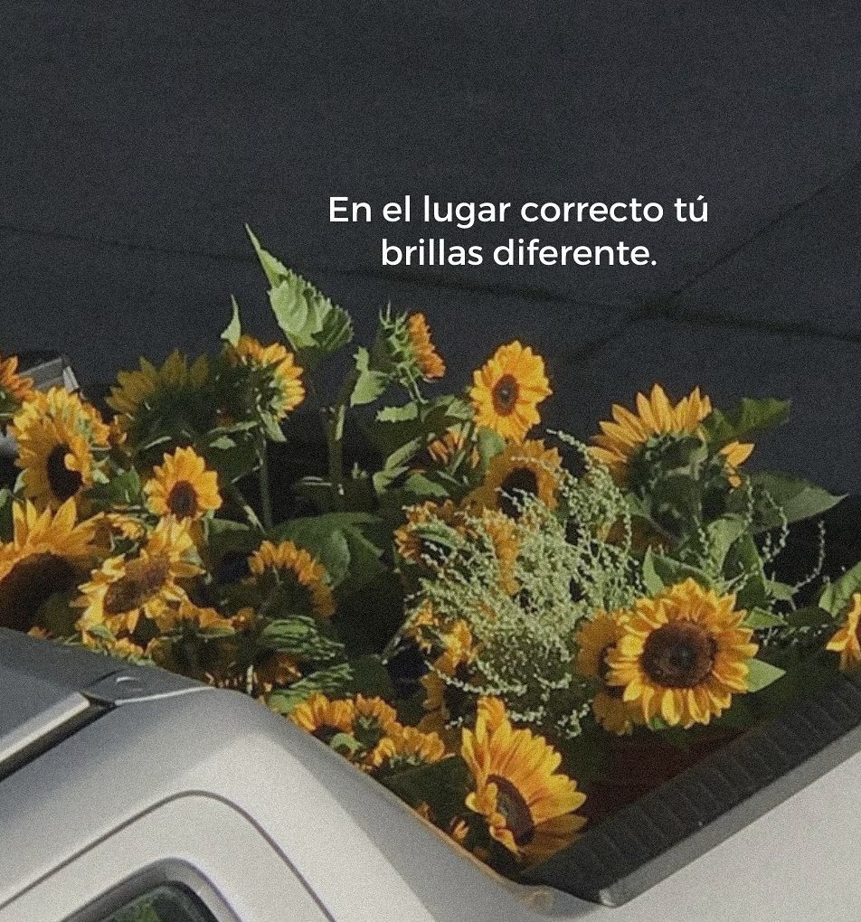 vibes (@vibesfyp) on Twitter photo 