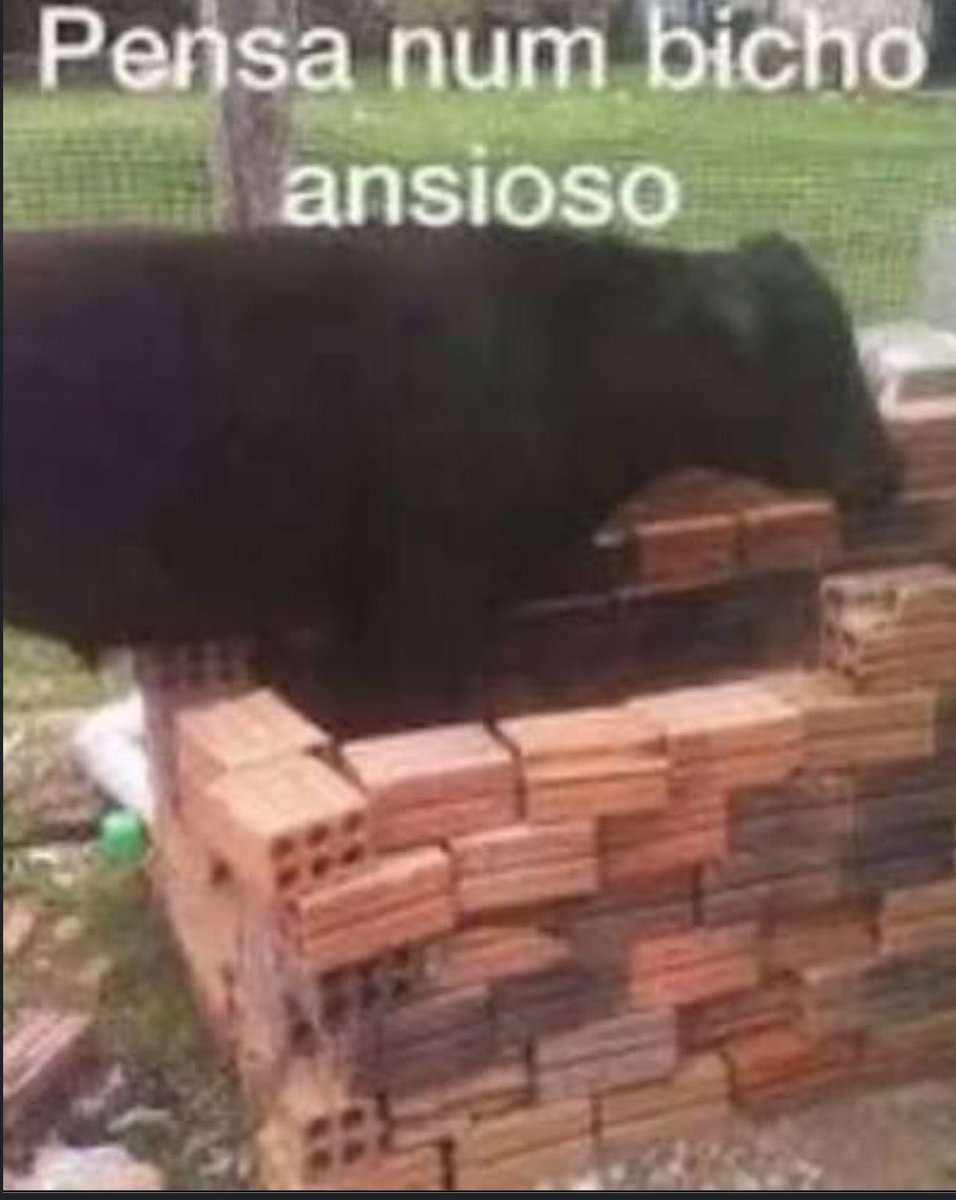 já tô fazendo todo o meu cronograma de estudos pro ano que vem e separando os materiais que vou usar, quero começar a estudar logo