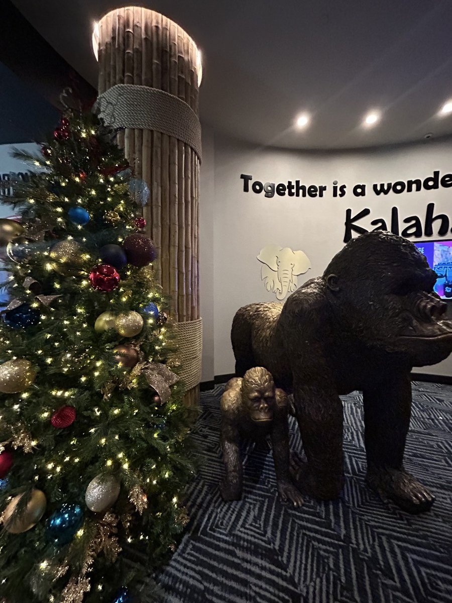 mmpre69's tweet image. Kids had a blast ending their season at the Kalahari