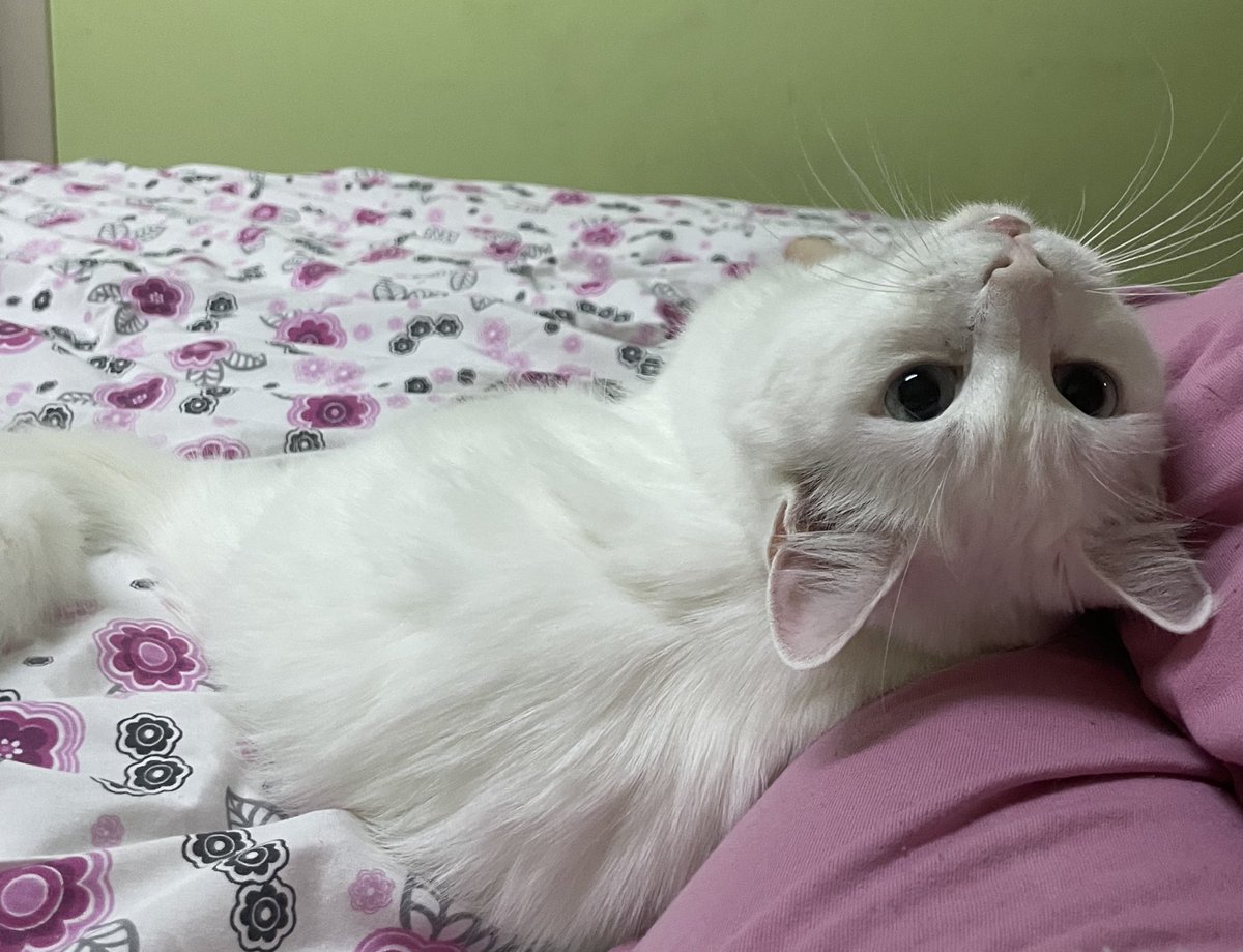 ane
dogum günün kutlu olsun aneçim