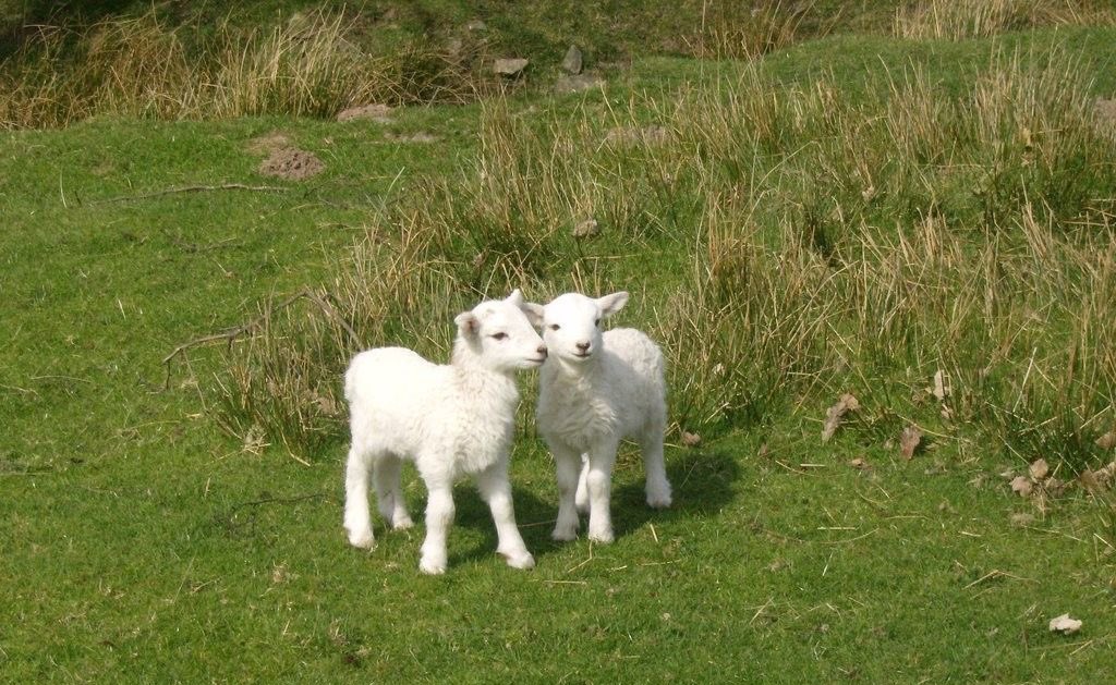 urrrinal's tweet image. 2 + 2 = ur my friend, and that’s the cutest equation in the field