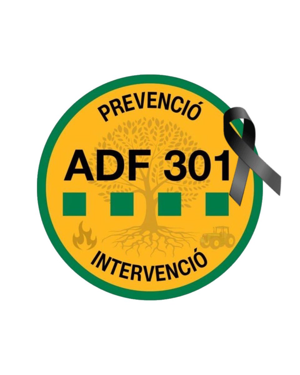ADF 301 tweet media