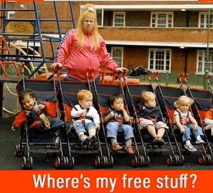 <a href="/TheGreenParty/">The Green Party</a> <a href="/ZackPolanski/">Zack Polanski</a> This is the Green future under Dave Paulden, the failed TIT Hypnotist 
<a href="/TheGreenParty/">The Green Party</a>