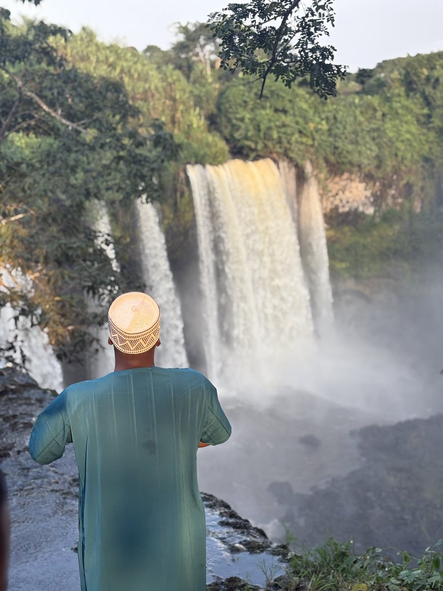 obyApex's tweet image. 