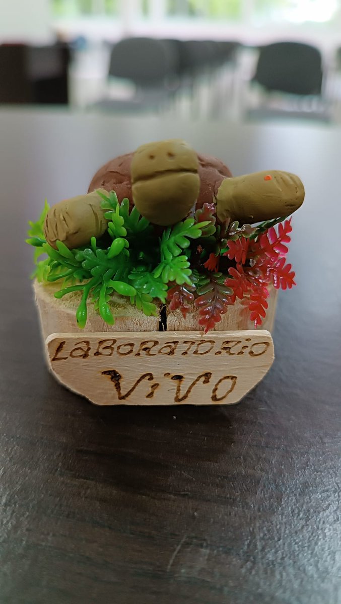 fundacionnatura's tweet image. 🦎 Una actividad enmarcada en el proyecto &quot;Laboratorio vivo para la conservación de humedales a través de la transformación socioambiental&quot;, una iniciativa conjunta de @ECOPETROL_SA, @Red_econova, @SANTOTOBGA y Fundación Natura.