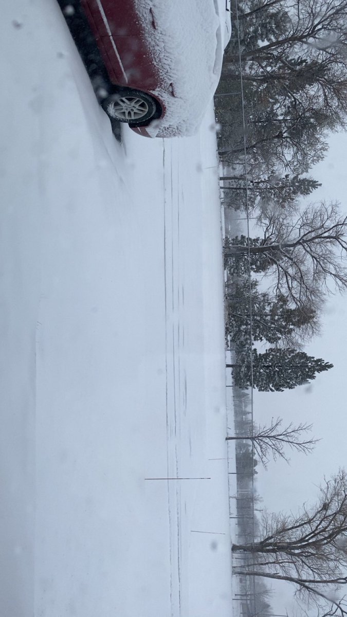 Merowzer's tweet image. ❄️ Snow Update! ❄️
Welp… Everything is covered, my car is officially a snow sculpture, and the world outside looks like one giant powdered donut. 😂☃️

If you need me, I’ll be inside pretending this isn’t happening… or debating whether I should even attempt to go anywhere…