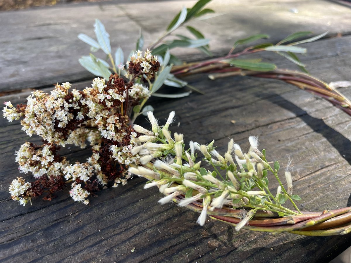 Opt out of the Black Friday frenzy and go green instead. Share the day with us, planting native plants and then create and craft your very own native plant wreath to decorate your eco-conscious home. So many wins!

Sign up on Eventbrite : ow.ly/zztt50Xw6uN